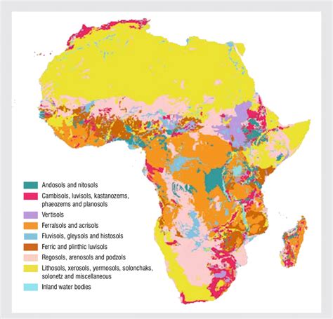 in some areas of africa the soil quality